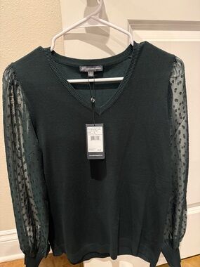 Adrianna Papell Forest Green V-Neck Sweater with Sheer Dot Sleeves